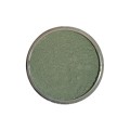 Battle Green 1.jpg