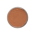 Orange Brick 1.jpg